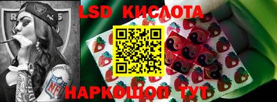 гидропоника Партизанск