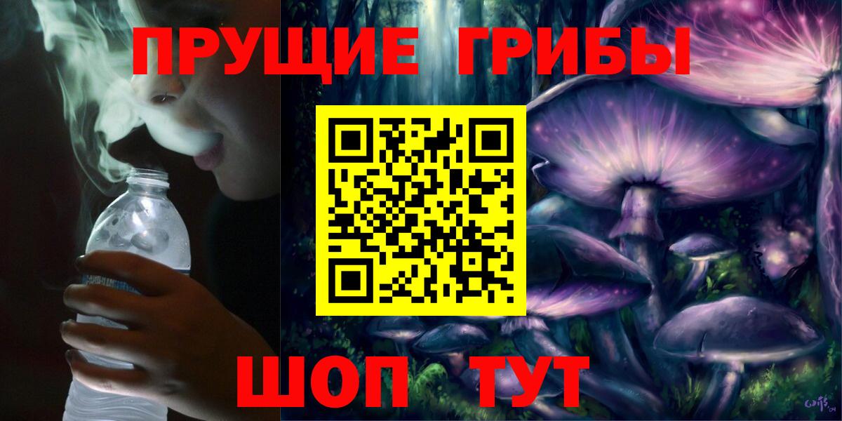 Галлюциногенные грибы прущие грибы  Вход с VPN  Галлюциногенные грибы Psilocybe  Татарск 